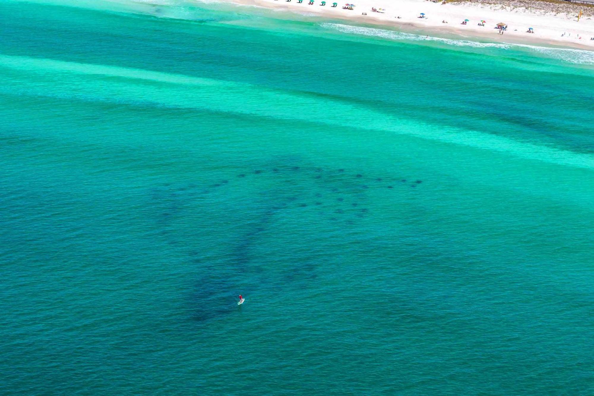 Ariel Dunes I 2207 Destin Dış mekan fotoğraf
